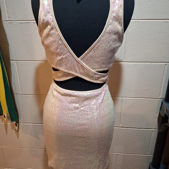 Iridescent Pink Sequin Bodycon Mini Dress-Cute Back - Picture 3 of 14
